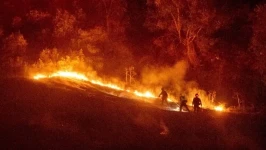 Alberta Premier Under Fire as Wildfires Rage