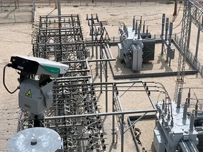 The Problem with Birds in Substation Outages