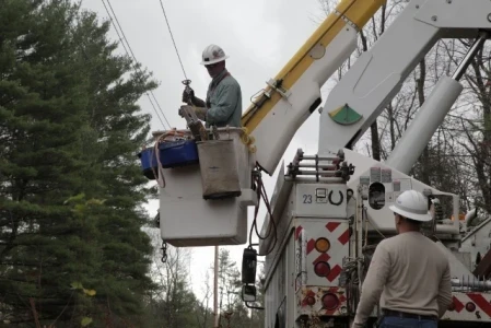 The Vegetation Management Program