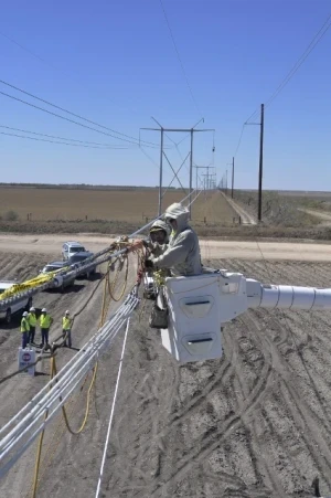 Power Grid Congestion