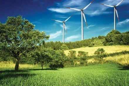 South Sudan’s Coffee Industry Faces Climate Change Challenges