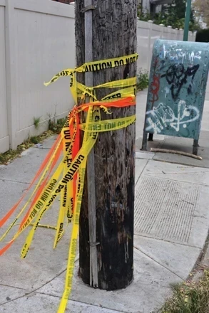 Hardening the Power Grid