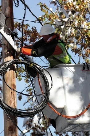 Implementing Advanced Vegetation Management Strategies