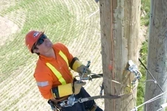 Human Resource Strategies for Utilities