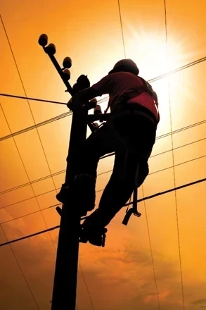 Adopting Smart Grid Standards