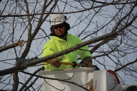 Vegetation Management Best Practices