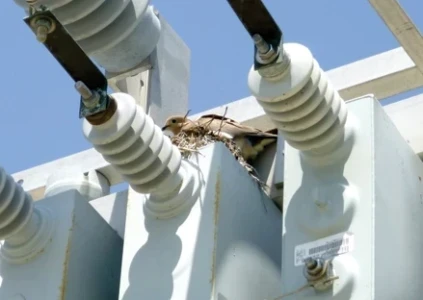 Animal Mitigation for Electric Utilities