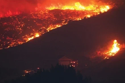 Fighting Wildfires to Increase Pole Protection