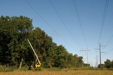 Scheduling Vegetation Maintenance Activities
