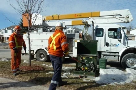 Distribution Transformer Loss Costs