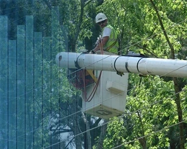 ANALYZING THE VEGETATION PROBLEM: Getting the Most Out of Collected Data Through Advanced Analytics