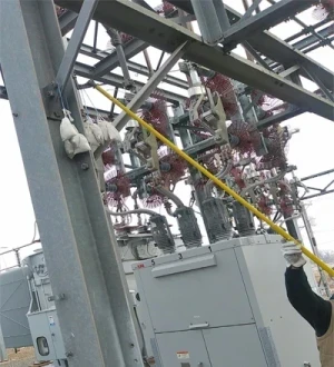 Critter Guard Introduction