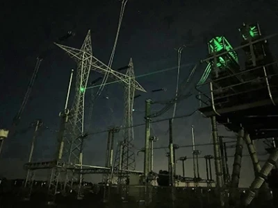 BIRDS AND SUBSTATION OUTAGES