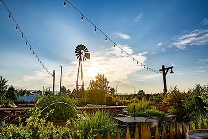 Fort Collins Municipality Case Study