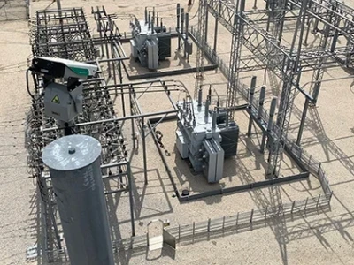 The Fight Against Animal-Caused Substation Outages